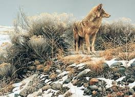 Casse-tête 1000 pcs - Coyote dans la toundra | Casse-têtes