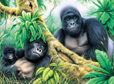 Peinture à Numéro - Gorilles des Montagne (Mountain Gorillas) PJL46 | Peinture à numéro & peinture de diamant (Diamond Painting)