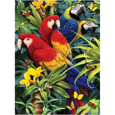 Peinture à Numéro - Macareux Majestueux (Majestic Macaws) PJS83-3T | Peinture à numéro & peinture de diamant (Diamond Painting)
