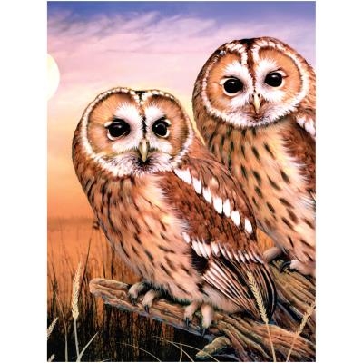 Peinture à Numéro - Hiboux Tauves (Tawny Owls - Chouettes Hulottes) PJS87-3T | Peinture à numéro & peinture de diamant (Diamond Painting)